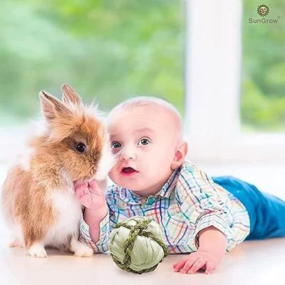 Show full view: SunGrow Corn Leaf Balls Teeth Grinding Guinea Pig & Rabbit Treat, 3 count slide 3 of 7