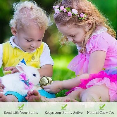 Show full view: SunGrow Corn Leaf Balls Teeth Grinding Guinea Pig & Rabbit Treat, 3 count slide 5 of 7