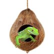 Show in main carousel: SunGrow Crested & Leopard Gecko Coconut Hide, Humid Cave for Frog, Reptile & Amphibian slide 1 of 6