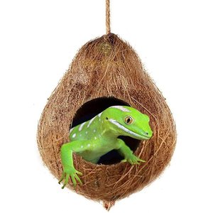 SunGrow Crested & Leopard Gecko Coconut Hide, Humid Cave for Frog, Reptile & Amphibian