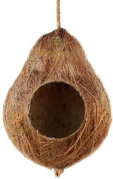 Show full view: SunGrow Crested & Leopard Gecko Coconut Hide, Humid Cave for Frog, Reptile & Amphibian slide 2 of 6