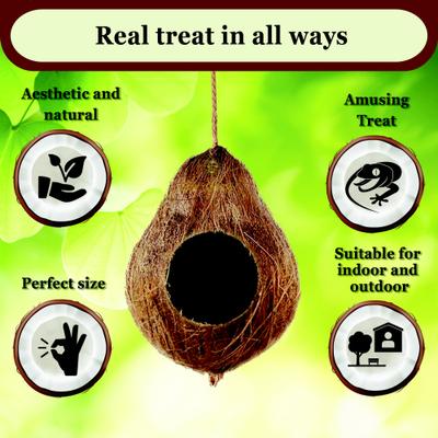 Show full view: SunGrow Crested & Leopard Gecko Coconut Hide, Humid Cave for Frog, Reptile & Amphibian slide 3 of 6