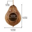 Show in main carousel: SunGrow Crested & Leopard Gecko Coconut Hide, Humid Cave for Frog, Reptile & Amphibian slide 5 of 6