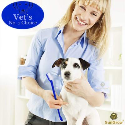 Show full view: SunGrow Dental Cleaning Tool Kit Dog & Small Animal Toothbrush, 4 count slide 4 of 8