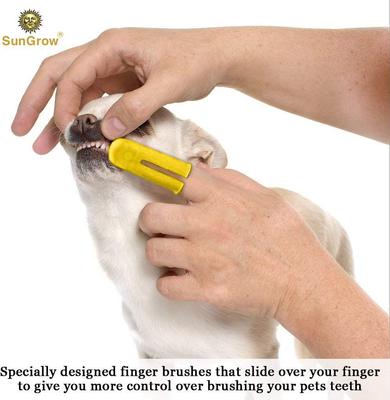 Show full view: SunGrow Dental Cleaning Tool Kit Dog & Small Animal Toothbrush, 4 count slide 5 of 8