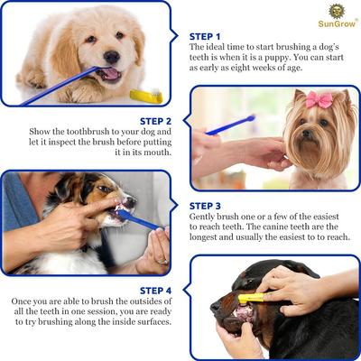 Show full view: SunGrow Dental Cleaning Tool Kit Dog & Small Animal Toothbrush, 4 count slide 6 of 8