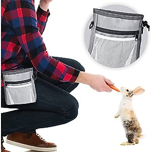 SunGrow Dog & Bird Training & Travel Treat Pouch Bag, Gray