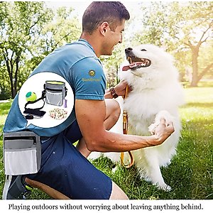 SunGrow Dog & Bird Training & Travel Treat Pouch Bag, Gray