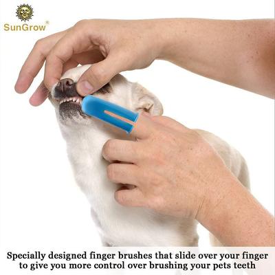 Show full view: SunGrow Dog & Cat Stick & Finger Toothbrush Kit, Dental Care for Your Pets, Suitable for Ferrets, 3 Count slide 4 of 8