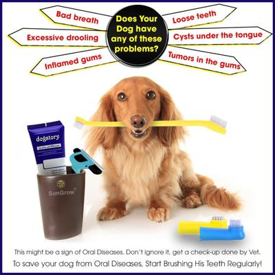 Show full view: SunGrow Dog & Cat Stick & Finger Toothbrush Kit, Dental Care for Your Pets, Suitable for Ferrets, 3 Count slide 7 of 8