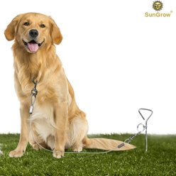 SunGrow Dog Tie Out Cable Stake, Escape Proof for Outside Training & Camping Gear slide 2 of 7