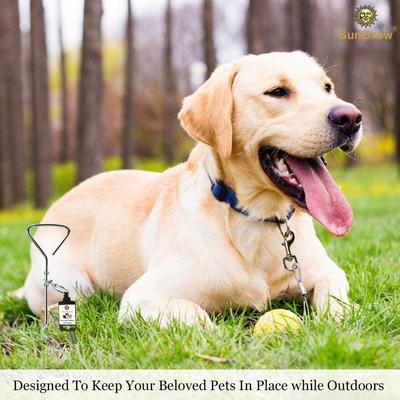 Show full view: SunGrow Dog Tie Out Cable Stake, Escape Proof for Outside Training & Camping Gear slide 5 of 7