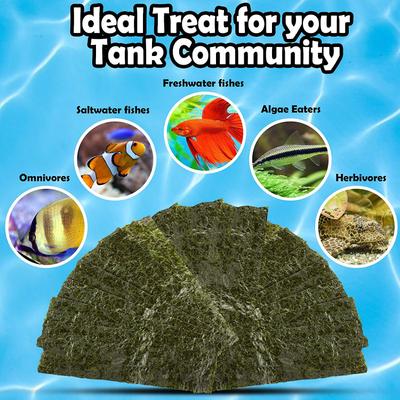 Show full view: SunGrow Dried Green Seaweed Sheets Snack for Betta & Hermit Crab, Veggie Fish Food Supplement slide 3 of 7