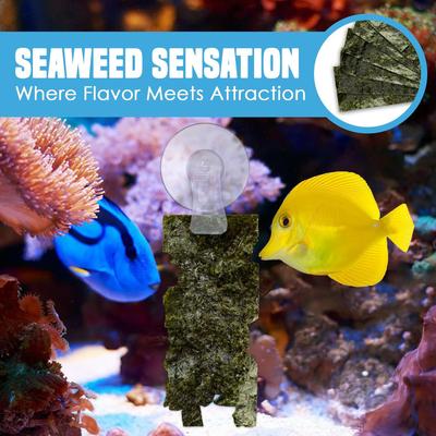 Show full view: SunGrow Dried Green Seaweed Sheets Snack for Betta & Hermit Crab, Veggie Fish Food Supplement slide 4 of 7