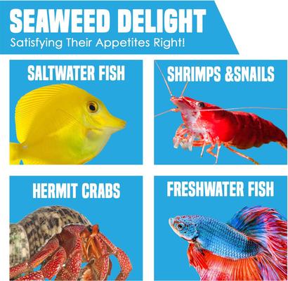 Show full view: SunGrow Dried Green Seaweed Sheets Snack for Betta & Hermit Crab, Veggie Fish Food Supplement slide 5 of 7