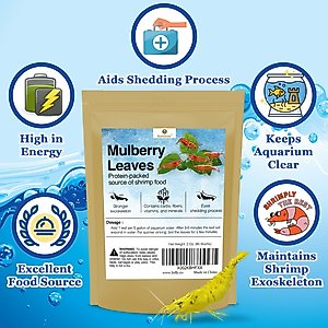 SunGrow Dried Mulberry Leaves Growth Supplement for Freshwater Aquarium Snail & Cherry Shrimp Food