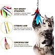 Show in main carousel: Vila Feather Teaser Wand & Fishing Pole Interactive Toy for Indoor Cat & Dog, 11 count slide 2 of 5