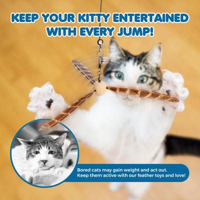 Show full view: SunGrow Fishing Pole Teaser Wand Cat Toy with 3 Feather Teasers slide 4 of 8