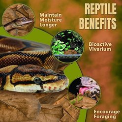SunGrow Gecko & Snake Indian Almond Reptile Leaf Litter & Substrate, BioActive Vivarium, 10 count slide 2 of 6
