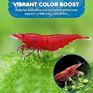 SunGrow Growth Supplement for Freshwater Aquarium Bottom Feeders & Cherry Shrimp Food, 1.75-oz bag
