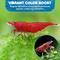 Show in main carousel: SunGrow Growth Supplement for Freshwater Aquarium Bottom Feeders & Cherry Shrimp Food, 1.75-oz bag slide 5 of 7