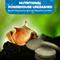 Show in main carousel: SunGrow Growth Supplement for Freshwater Aquarium Bottom Feeders & Cherry Shrimp Food, 1.75-oz bag slide 4 of 7