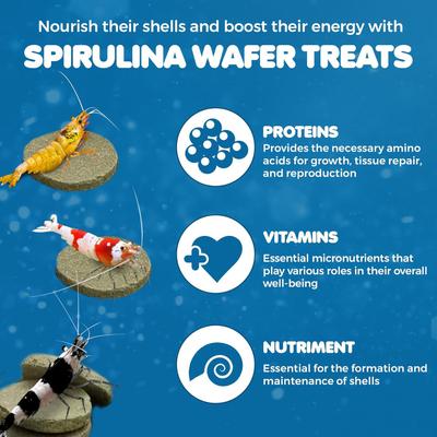 Show full view: SunGrow Growth Supplement for Freshwater Aquarium Bottom Feeders & Cherry Shrimp Food, 1.75-oz bag slide 3 of 7