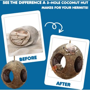 SunGrow Hanging Coconut Hide Hermit Crab & Crested Gecko Reptile Climbing Decor & Tank Accessories