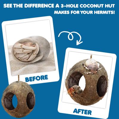 Show full view: SunGrow Hanging Coconut Hide Hermit Crab & Crested Gecko Reptile Climbing Decor & Tank Accessories slide 4 of 8