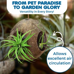 SunGrow Hanging Coconut Hide Hermit Crab & Crested Gecko Reptile Climbing Decor & Tank Accessories