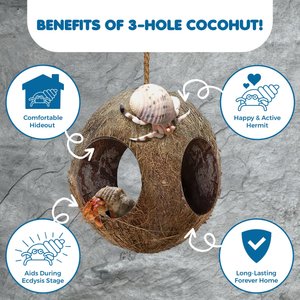 SunGrow Hanging Coconut Hide Hermit Crab & Crested Gecko Reptile Climbing Decor & Tank Accessories