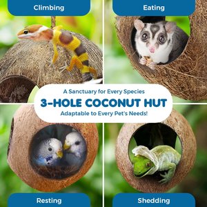 SunGrow Hanging Coconut Hide Hermit Crab & Crested Gecko Reptile Climbing Decor & Tank Accessories