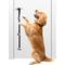 Show in main carousel: SunGrow Hanging & Communication Tool Dog & Cat Training Potty Doorbell, 34-in slide 1 of 6