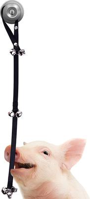 Show full view: SunGrow Hanging & Communication Tool Dog & Cat Training Potty Doorbell, 34-in slide 3 of 6