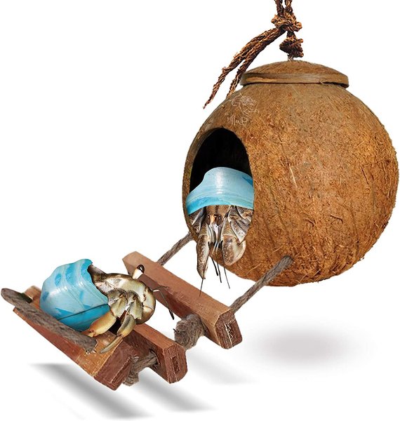Hermit Crab Climbing Rope Ladder Natural Plant Material