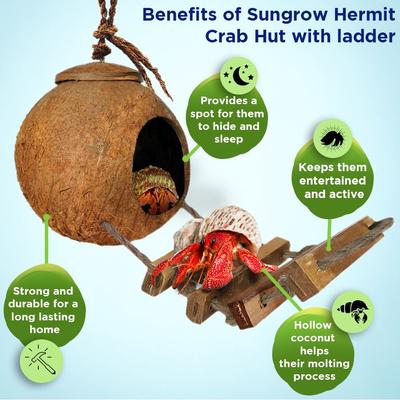 Show full view: SunGrow Hermit Crab Coconut Climbing Habitat & Hideaway Cage with Ladder, Natural slide 3 of 7