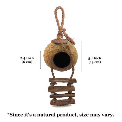 Show full view: SunGrow Hermit Crab Coconut Climbing Habitat & Hideaway Cage with Ladder, Natural slide 6 of 7