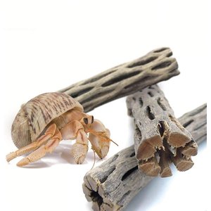 SunGrow Hermit Crab & Reptile Aquarium Cholla Wood Fresh Water Fish Tank Driftwood Hide & Decor, 6-in, 3 Count