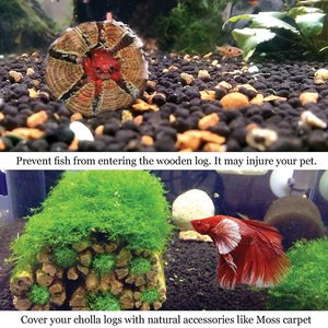 SunGrow Hermit Crab & Reptile Aquarium Cholla Wood Fresh Water Fish Tank Driftwood Hide & Decor, 6-in, 3 Count