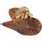 Show in main carousel: SunGrow Hermit Crab & Snail Catappa Leaves, Dried Treat & Mineral Supplement, 10 count slide 1 of 7