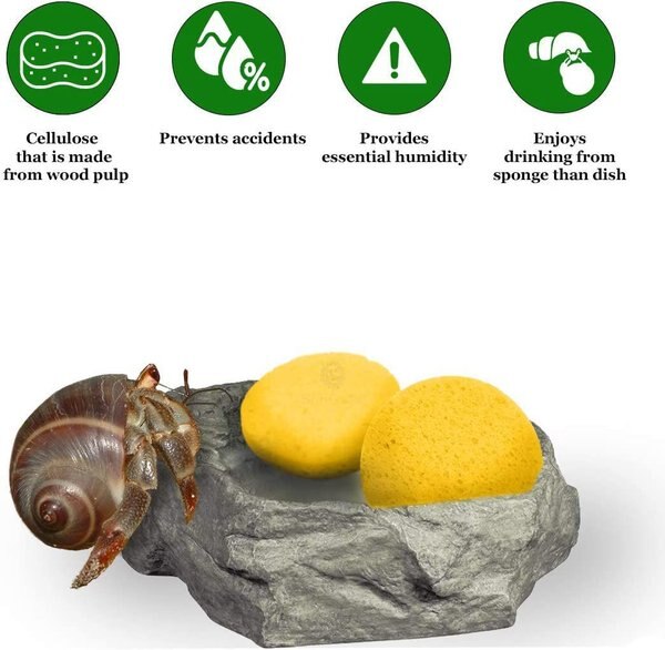 SUNGROW Hermit Crab Tank Humidity Control Sponge, Yellow, 3 count ...