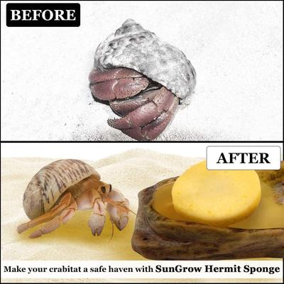 Show full view: SunGrow Hermit Crab Tank Humidity Control Sponge, Yellow, 3 count slide 4 of 7