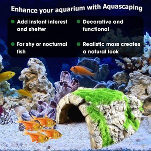 SunGrow Hide & Climbing Resin Rock Cave with Artificial Moss Betta Fish Aquarium Decor