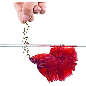 SunGrow High Protein Betta & Goldfish Floating Food Pellets Food, 0.95-oz bag