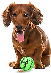 SunGrow Interactive Chew Ball Treat Dispenser Dog & Cat Teething Toy, 1 count slide 2 of 6