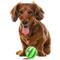Show in main carousel: SunGrow Interactive Chew Ball Treat Dispenser Dog & Cat Teething Toy, 1 count slide 3 of 8