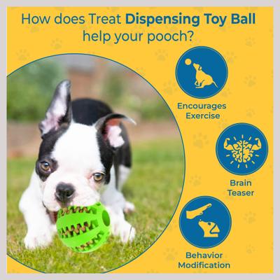 Show full view: SunGrow Interactive Chew Ball Treat Dispenser Dog & Cat Teething Toy, 2 count slide 3 of 8