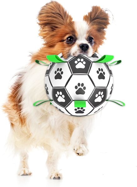 Show full view: SunGrow Interactive Outdoor Play Soccer Ball Dog Fetch Toy with Straps slide 1 of 5