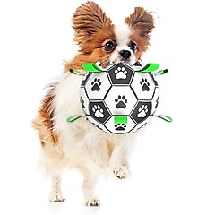 SunGrow Interactive Outdoor Play Soccer Ball Dog Fetch Toy with Straps