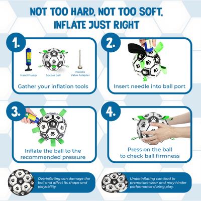 Show full view: SunGrow Interactive Outdoor Play Soccer Ball Dog Fetch Toy with Straps slide 3 of 5